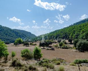 Residencial en venda en Bunyola