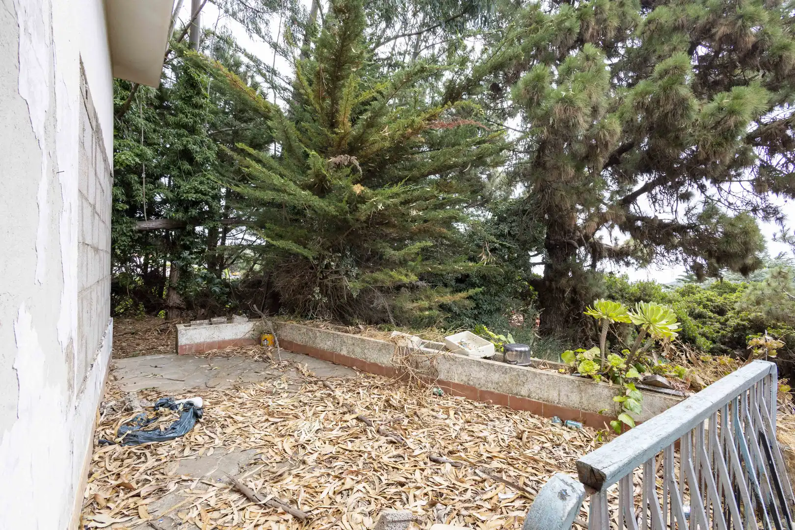 Casa o chalet en venta en El Rosario