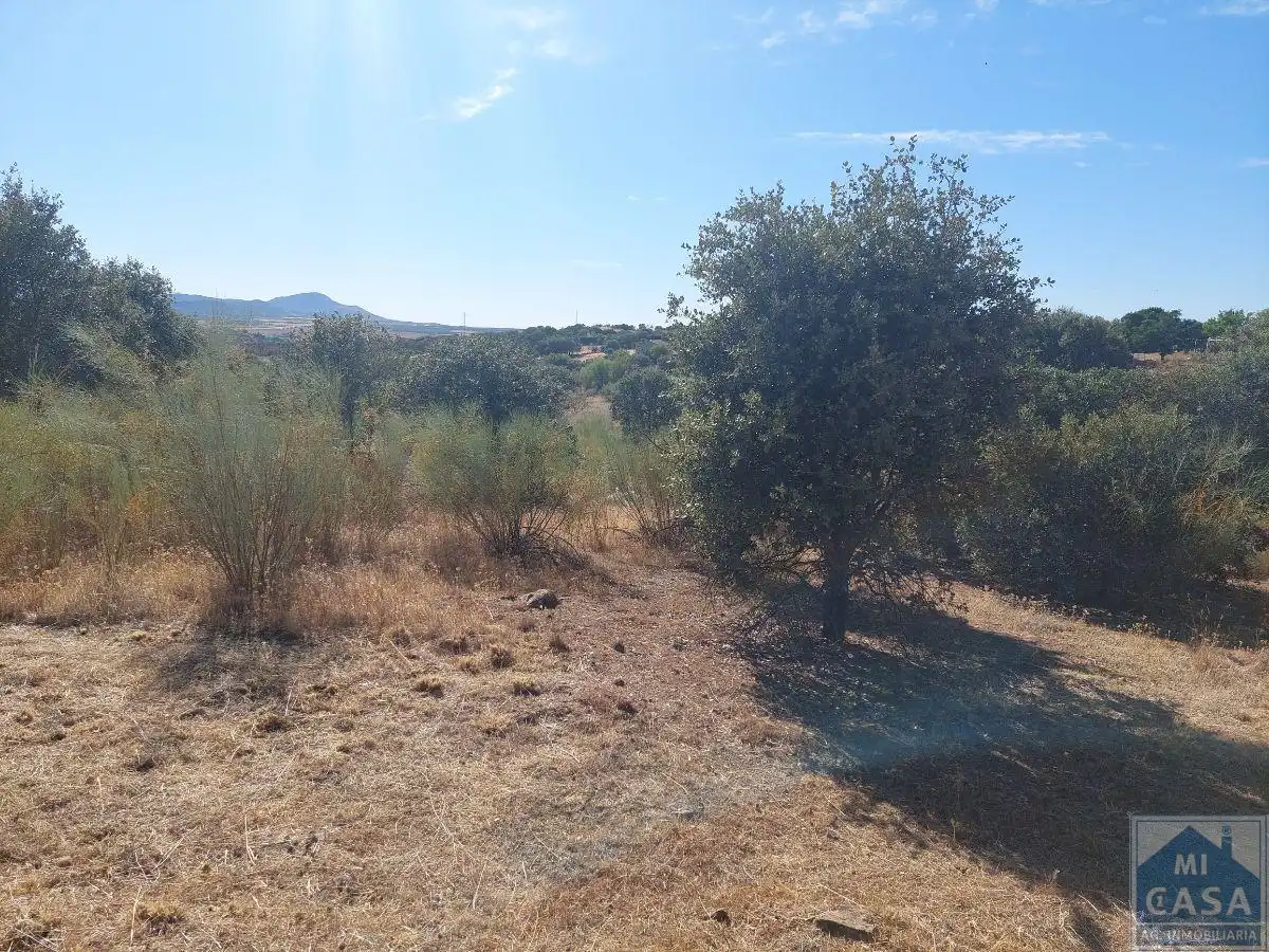 Terreni e lotti in vendita a Sur