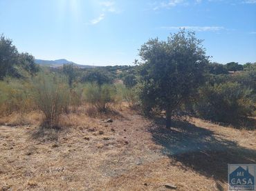 Terreni e lotti in vendita a Sur