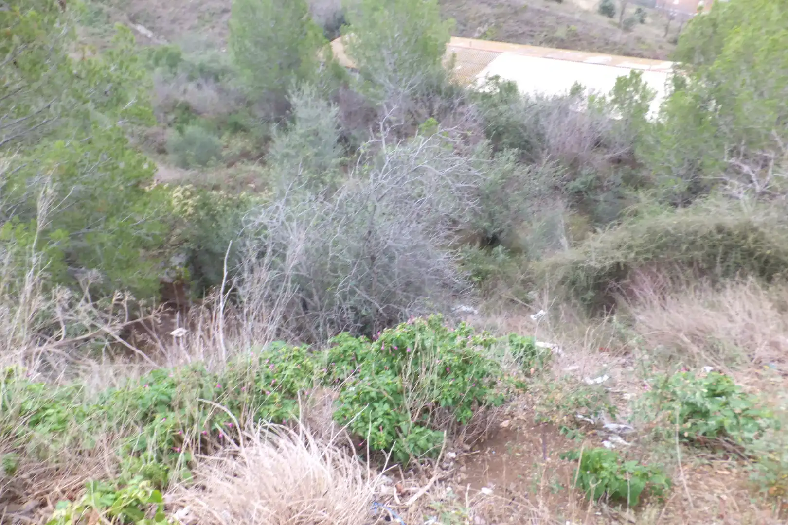 Terreno rustico in vendita a Carrer de Catalunya 23, imagen 10