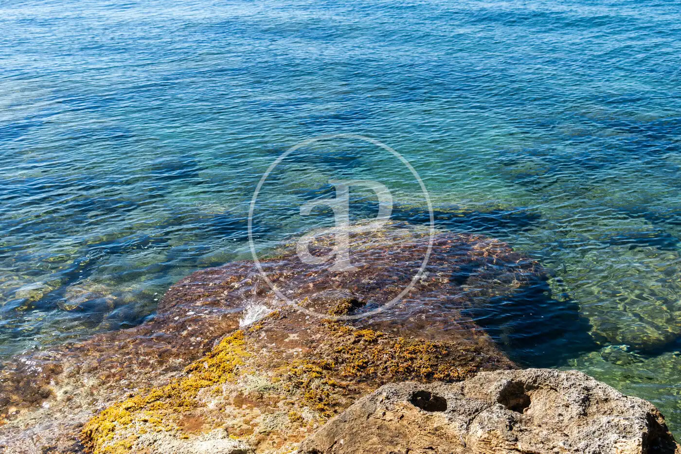 Flat for rent in Carrer Gavina, Cala Major