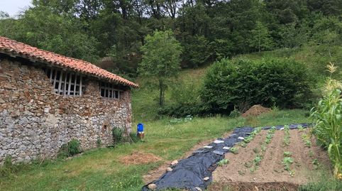FINCA RÚSTICA CON CUADRA DE PIEDRA CERCA DE CANGAS DE ONIS, immagine 3