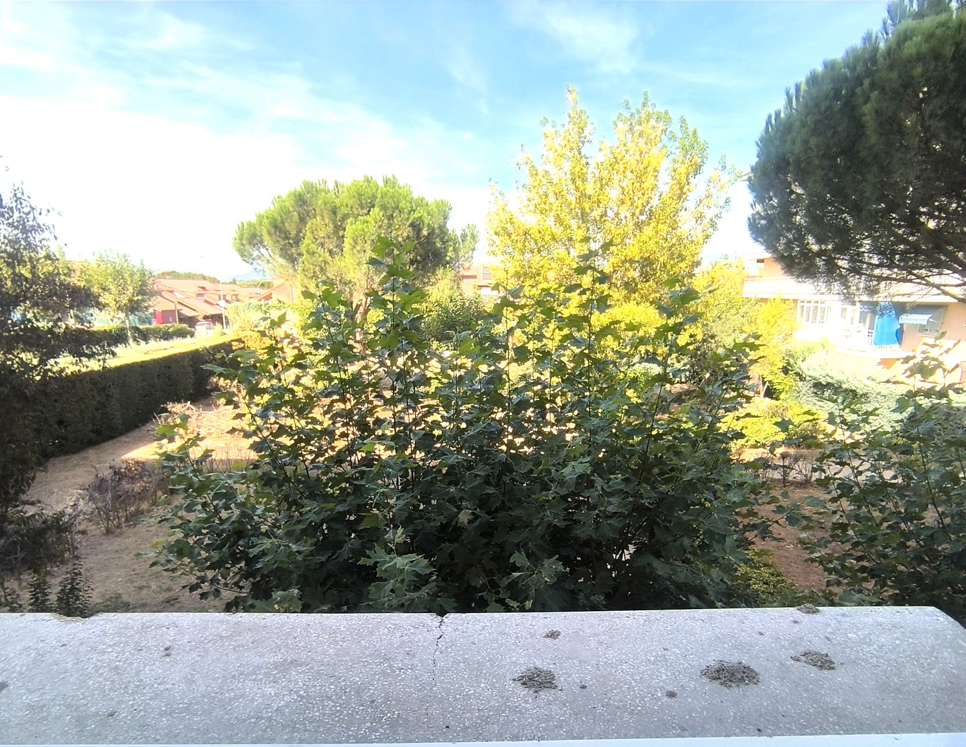 Garden of Office to rent in Collado Villalba  with Air Conditioner, Heating and Internet