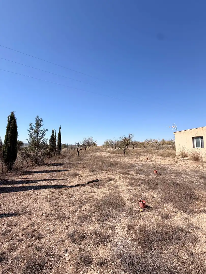 Casa rústica con jardín en venta en Monóvar  / Monòver, imagen 2