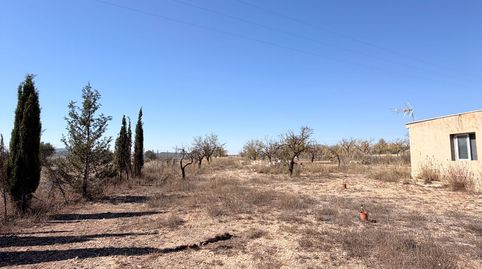 Foto 2 de Finca rústica en venda a Monóvar / Monòver, Alicante