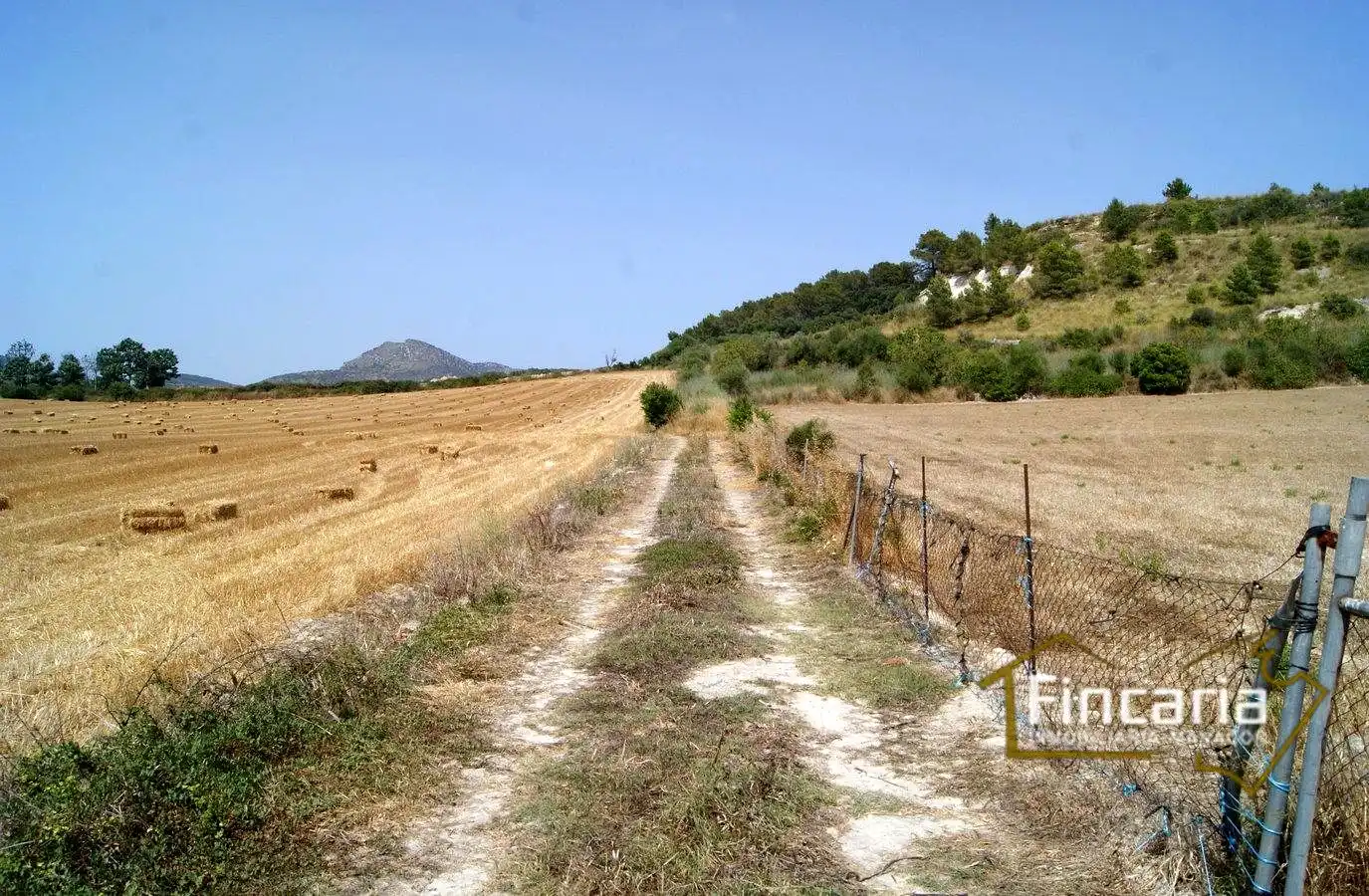 Terrenys i solars en venda a Camí de sa Murtera, imagen 25
