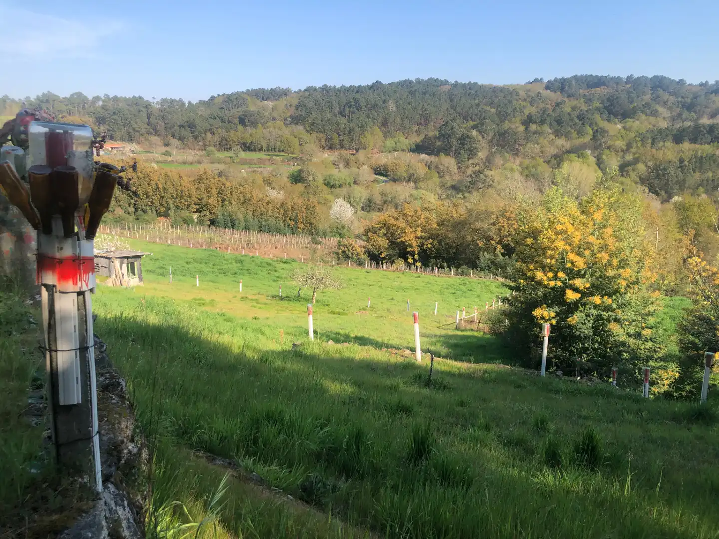 Casa o chalet en venta en San Amaro