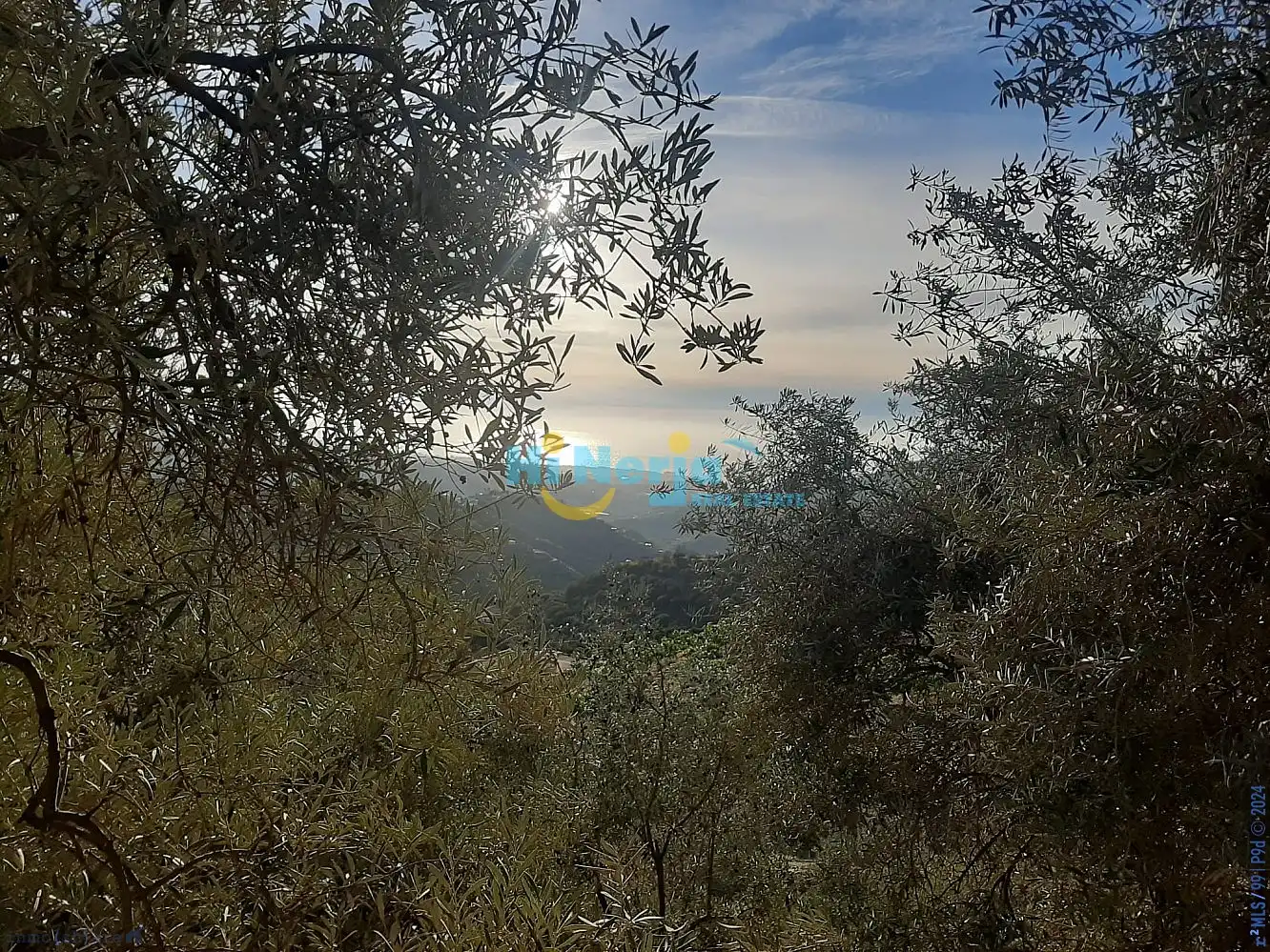 Terreni e lotti in vendita a Torrox Pueblo, imagen 9