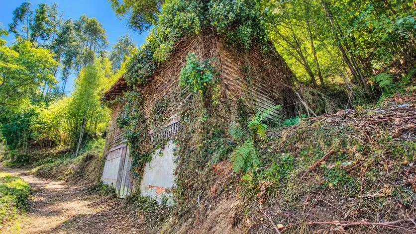 Casa en venta en Pravia, imagen 11