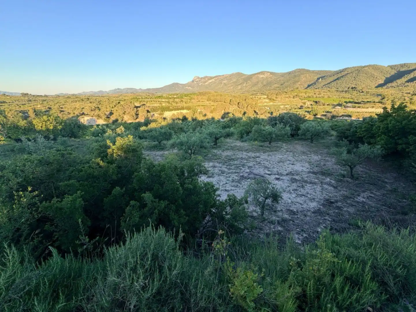 Terreny residencial en venda a El Juncal - Vallealto, imagen 21