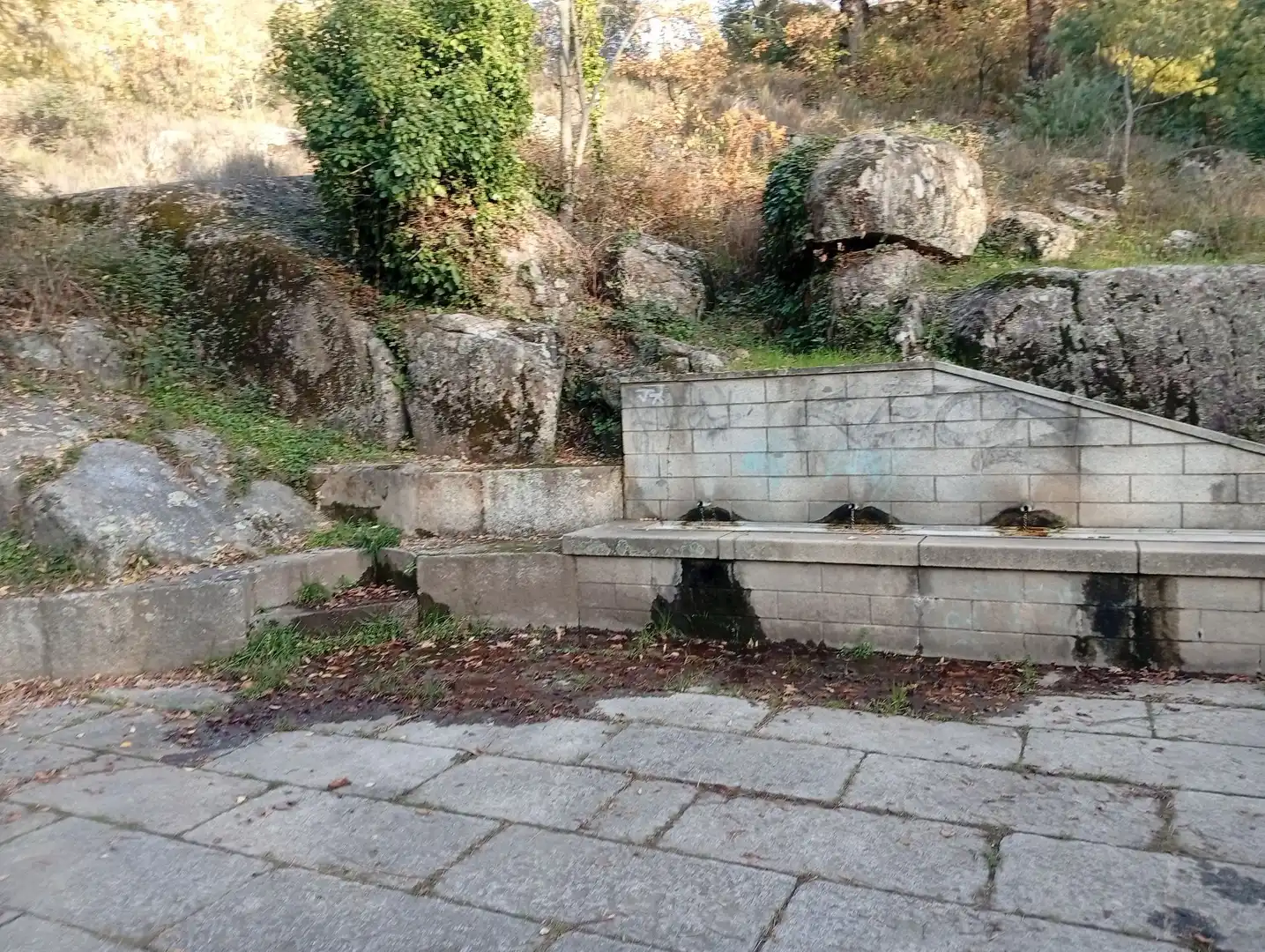 Terreni e lotti in vendita a Viandar de la Vera, imagen 60