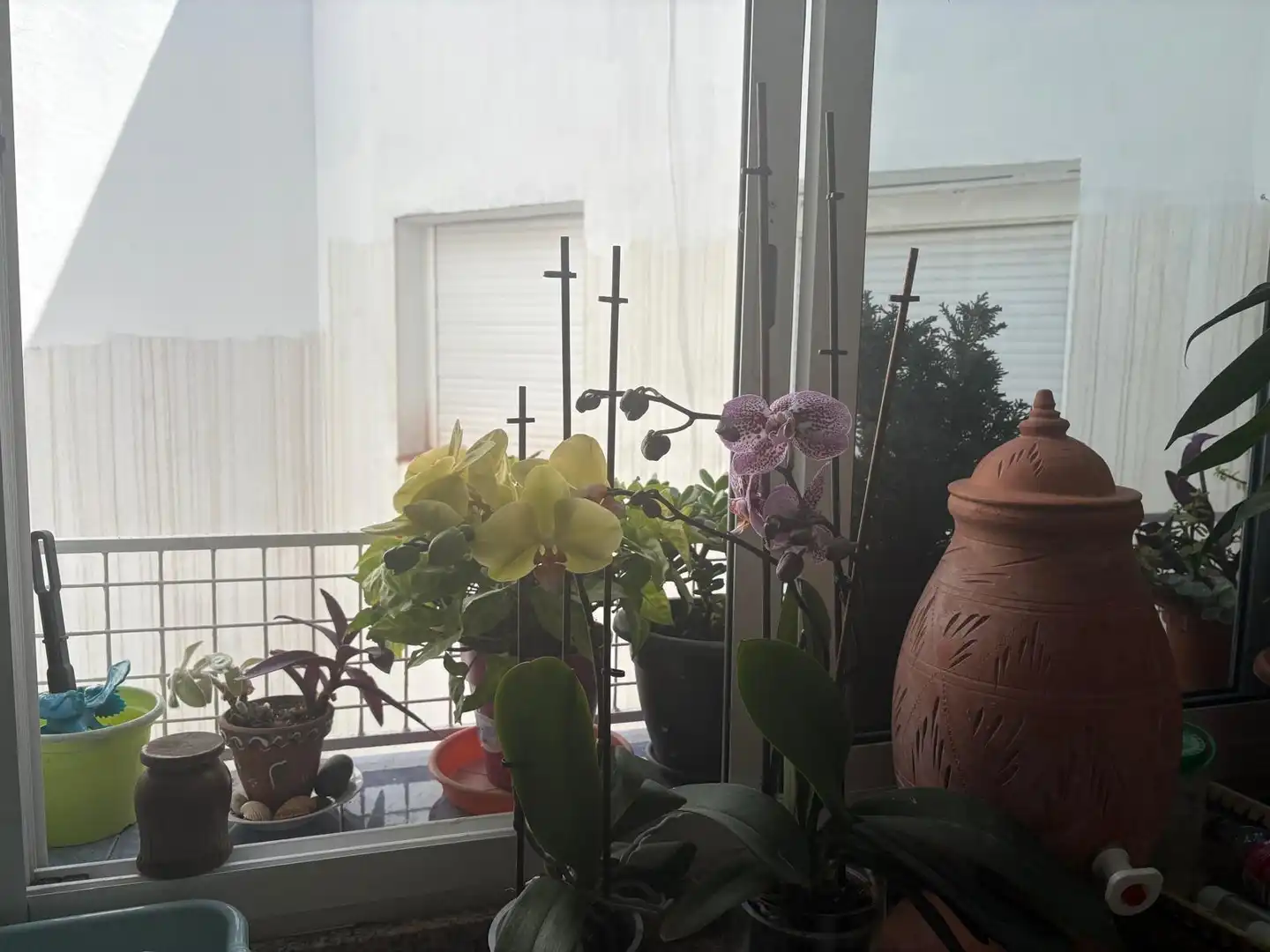 Balcony of Flat for sale in Algeciras