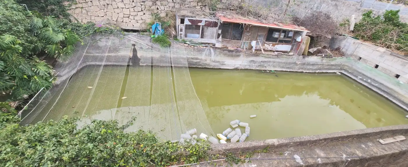 Terreno rustico in vendita a Vial Camino, imagen 7