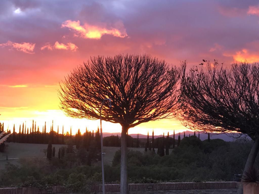 Vista exterior de Casa o xalet en venda en Villanueva de Perales amb Aire condicionat, Calefacció i Jardí privat