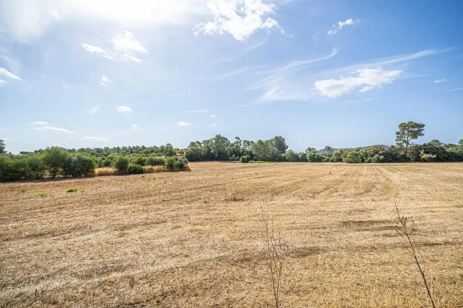 Terrain rustique à vendre à Diseminado Son Mora 199, imagen 20
