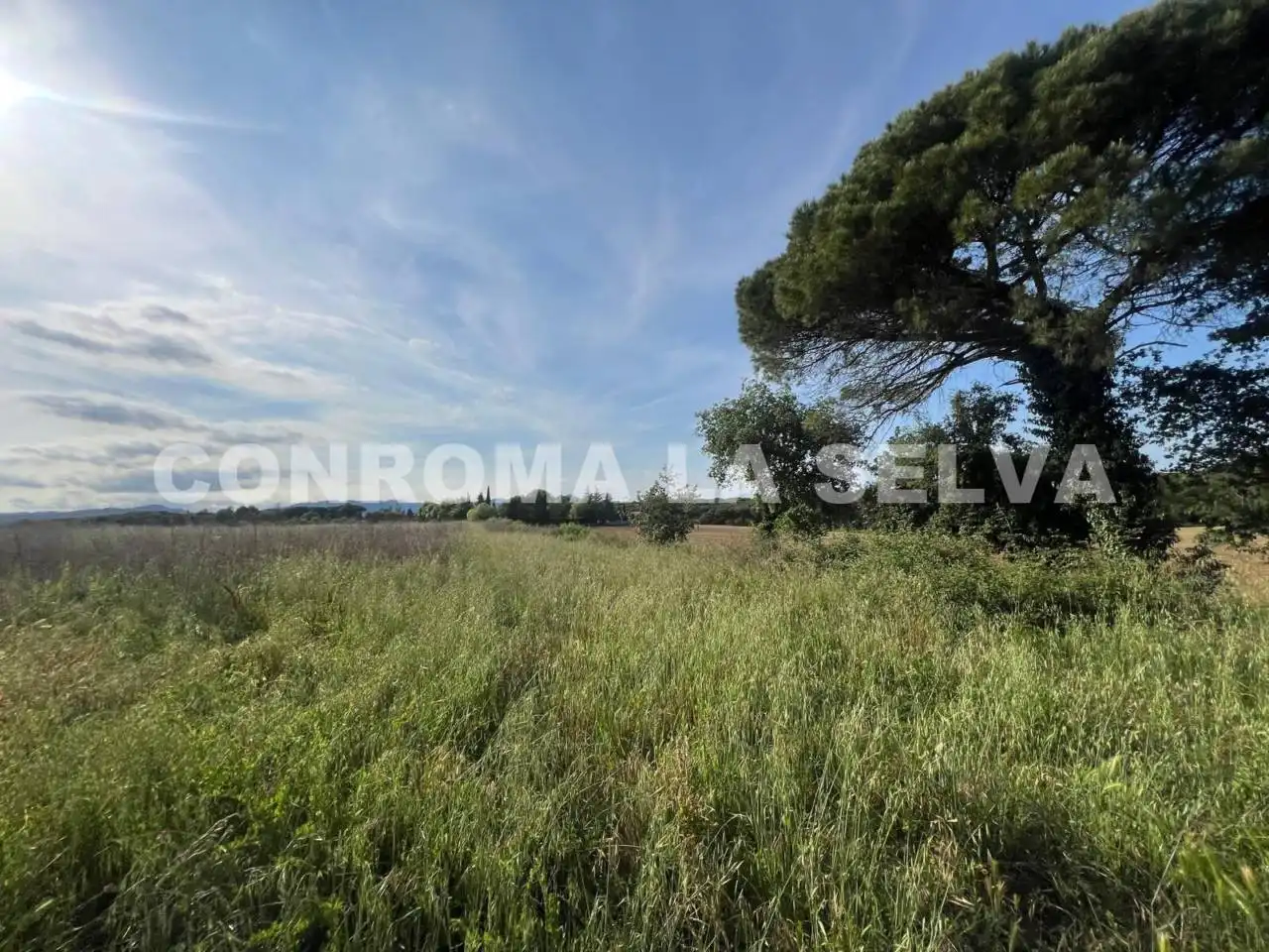 Terrain rustique à vendre à Riudarenes, imagen 9