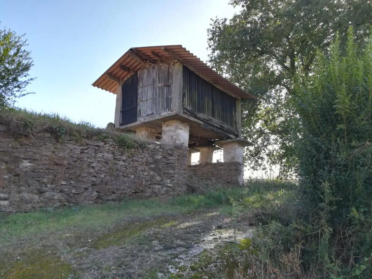 Exterior view of Country homes for sale in O Pino 