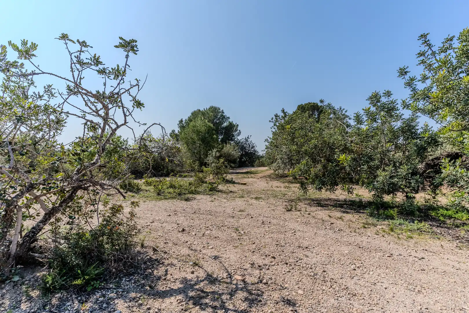 Land for sale in El Perelló