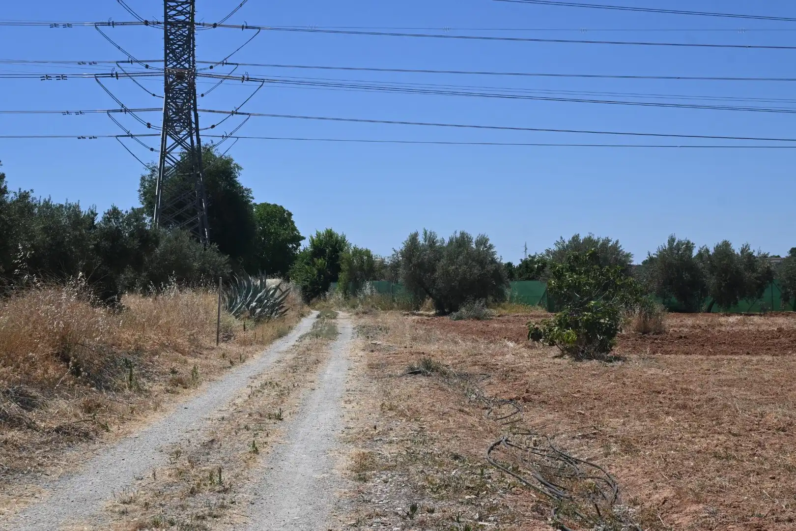 Terreni e lotti in vendita a Albolote, imagen 5