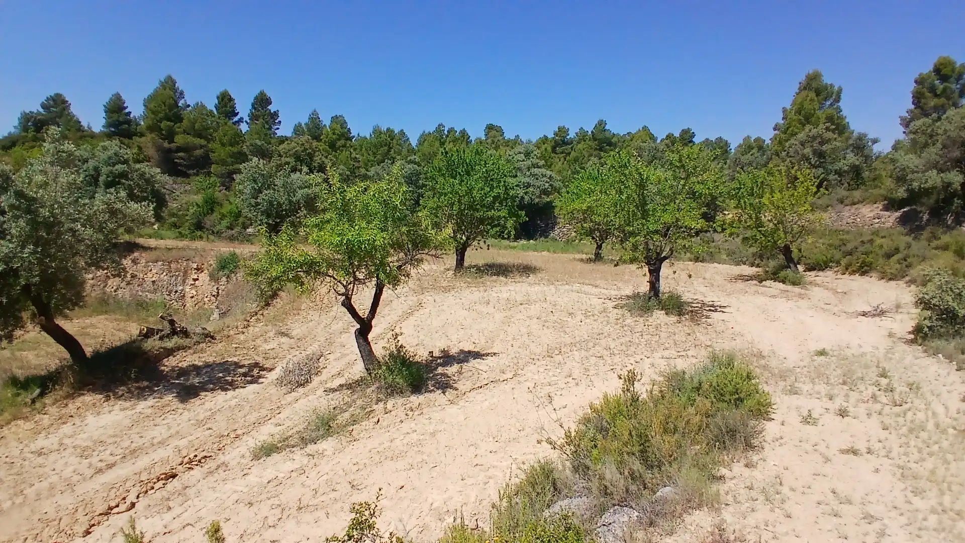 Terreno rustico in vendita a N/A, imagen 10