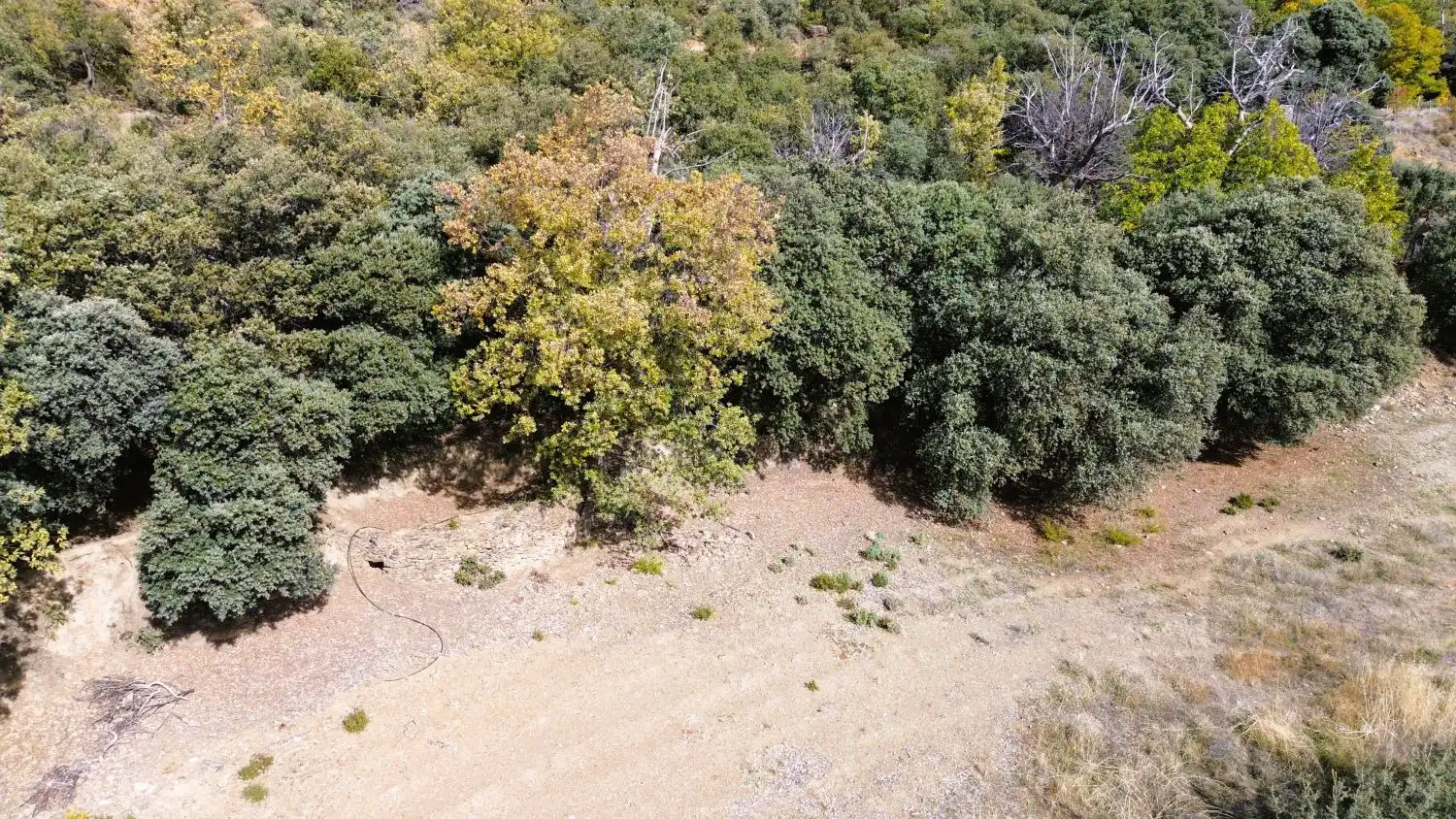 Country homes for sale in Pórtugos