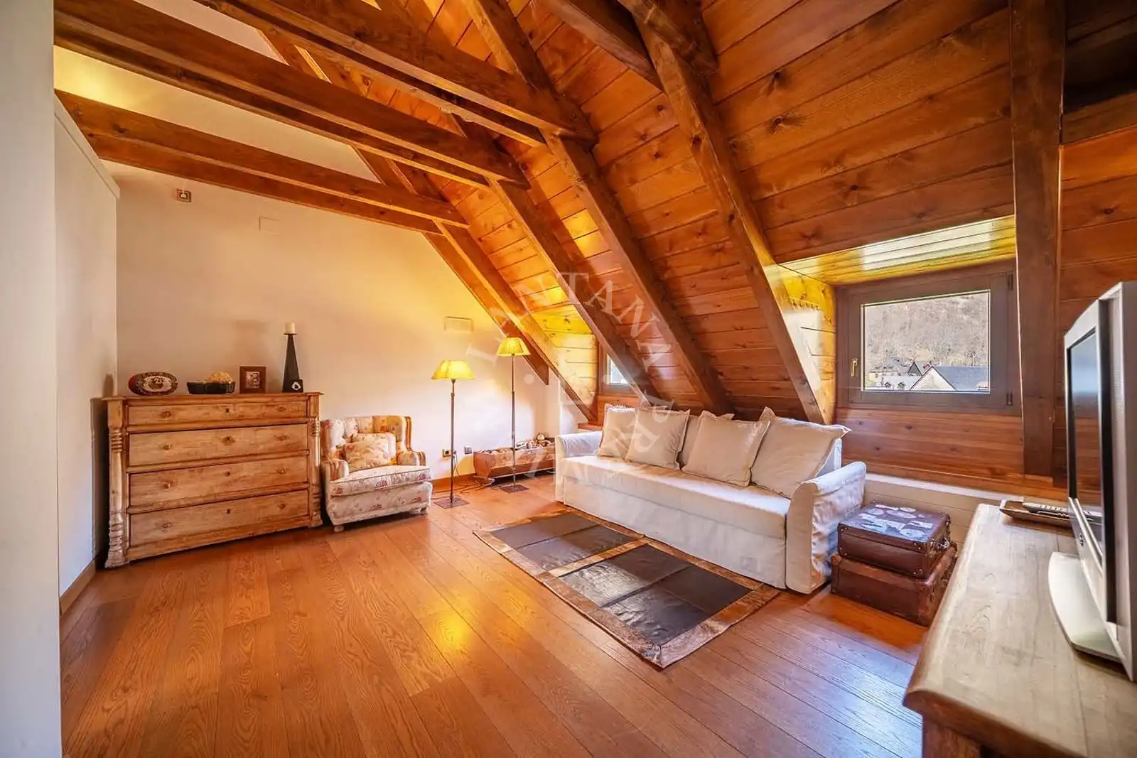 Sala d'estar de Casa o xalet en venda en Naut Aran amb Traster