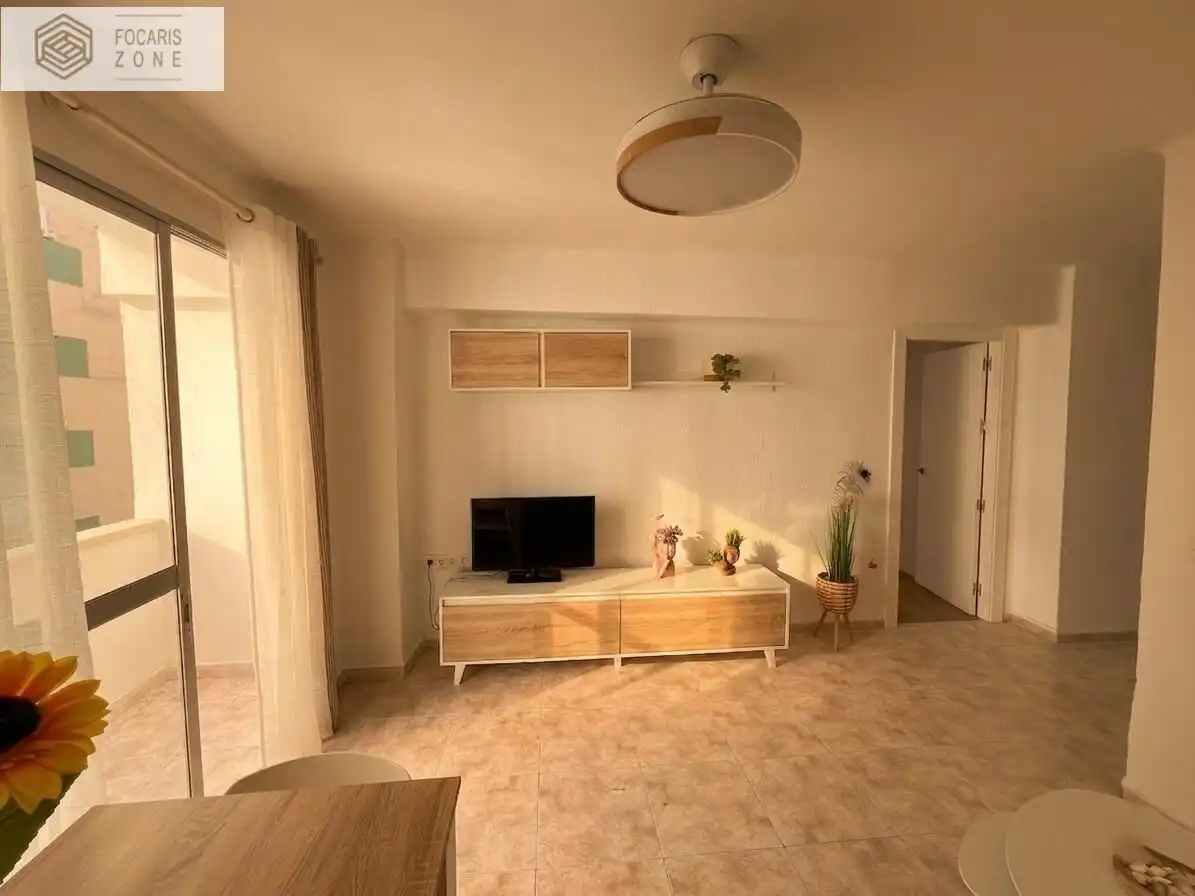 Living room of Flat for share in Málaga  with Terrace, Furnished and Balcony