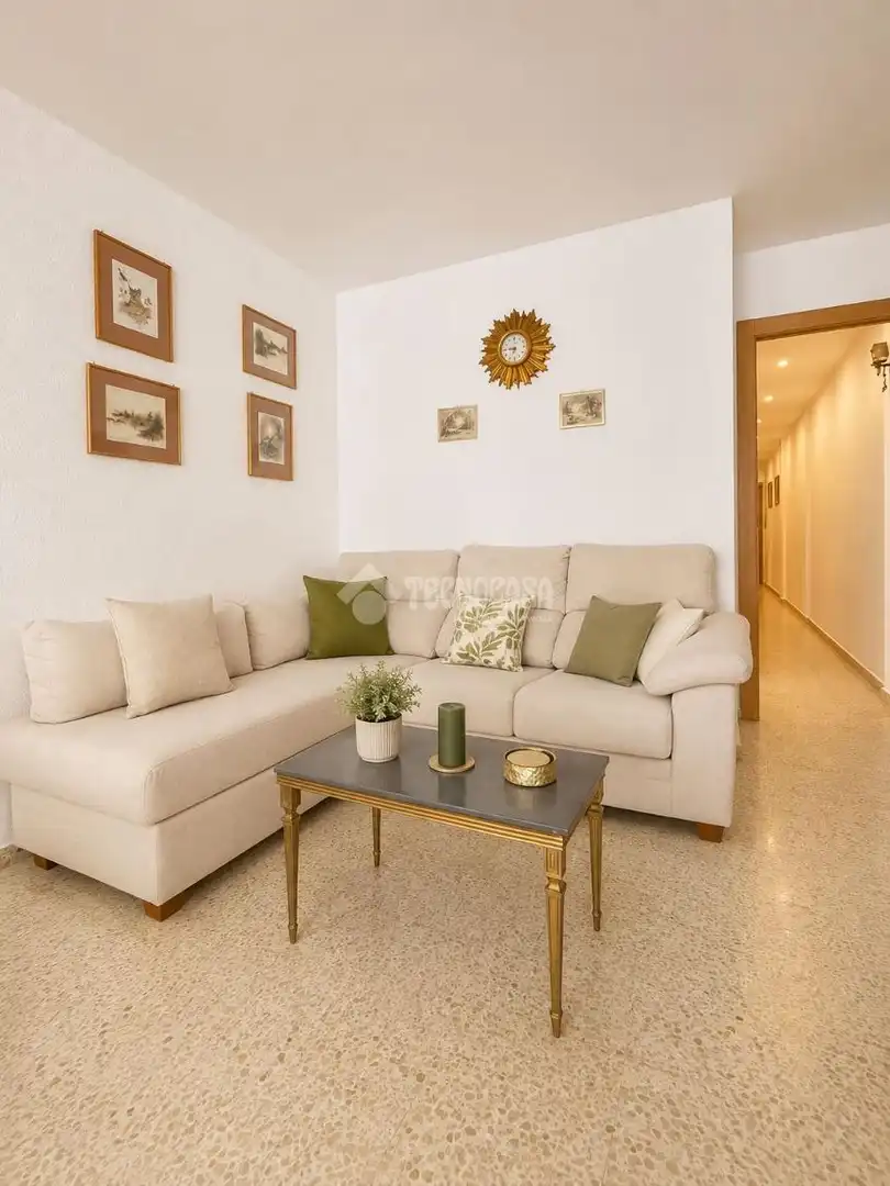 Sala d'estar de Pis en venda en Alicante / Alacant amb Aire condicionat i Terrassa
