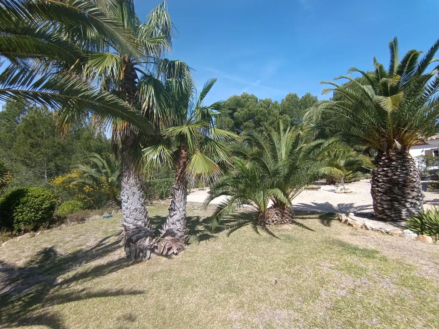 Villa con terrazza in vendita a Sant Jordi d'Alfama, imagen 40