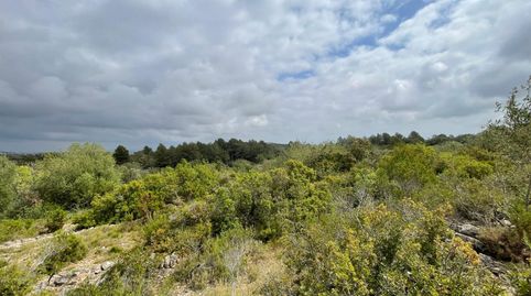 Finca Rúst. en venta en Calig., imatge 2