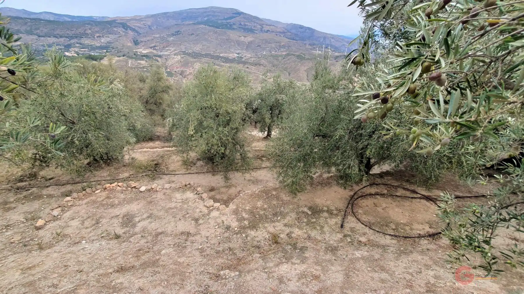 Terreni e lotti in vendita a El Pinar, imagen 14