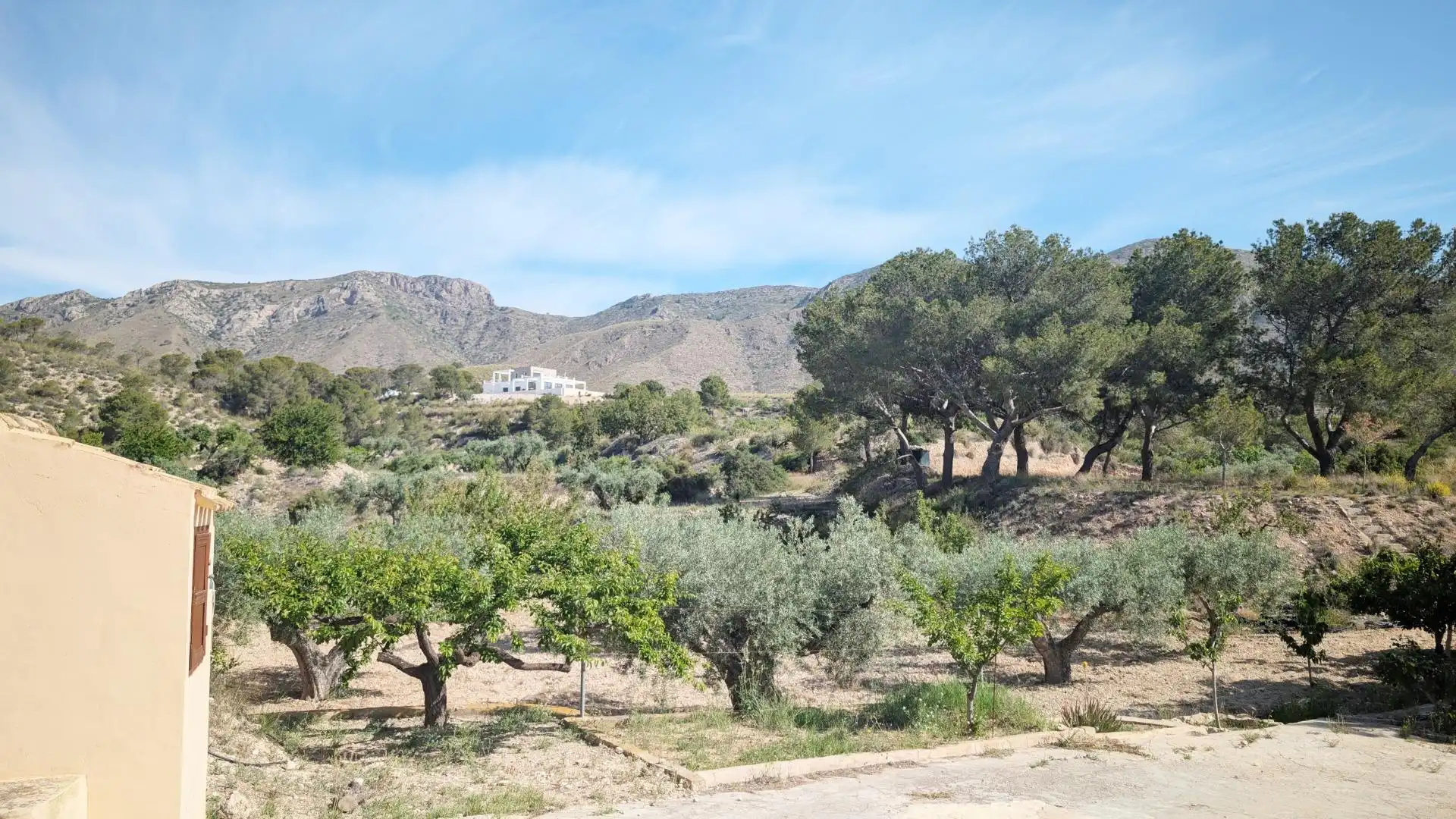Casa con jardín en venta en Hondón de las Nieves / El Fondó de les Neus, imagen 31