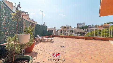 Foto 2 de Piso en venta en El Terreno, Palma de Mallorca
