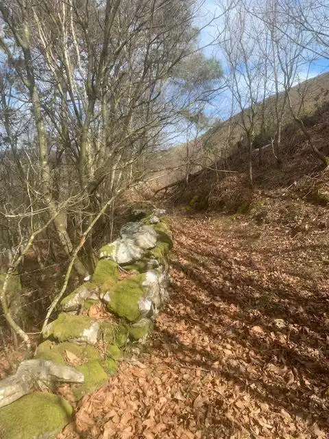 Finca rústica en venta en Villayón con Terraza y Trastero