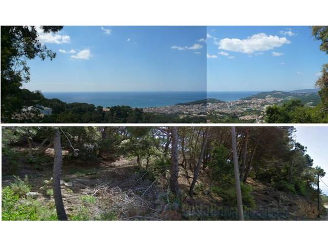 Terreno residencial en Venta en Roca Grossa