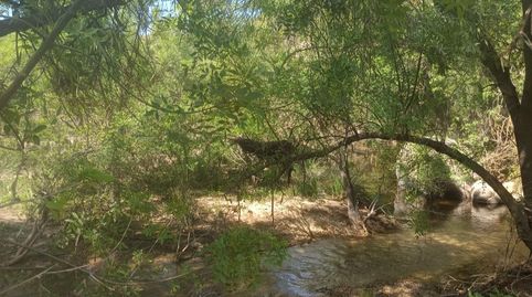 Foto 3 de Terreno en venta en Paraje Peña Fantasma, Sn, San Martín de Montalbán, Toledo