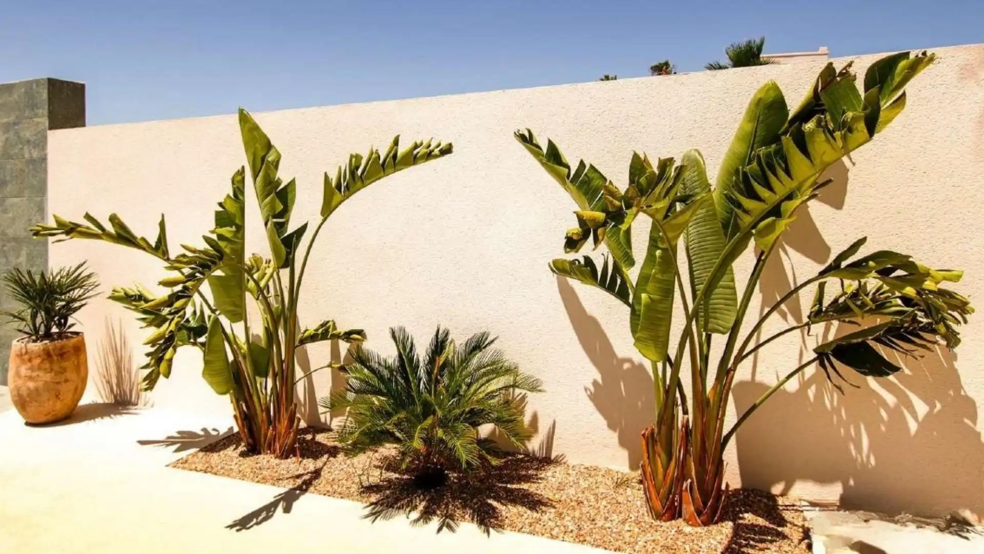 Chalet en venta en San Fulgencio, imagen 43
