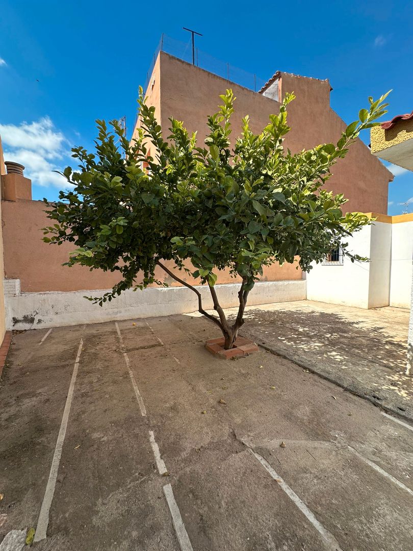 Jardí de Casa o xalet en venda en Pulpí amb Jardí privat i Moblat