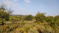 Land for sale in Casco Antiguo, imagen 1