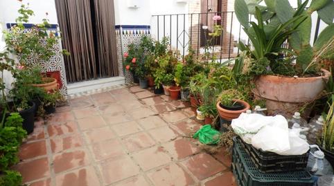 Foto 2 de Finca rústica en venda a Torrox Pueblo, Torrox