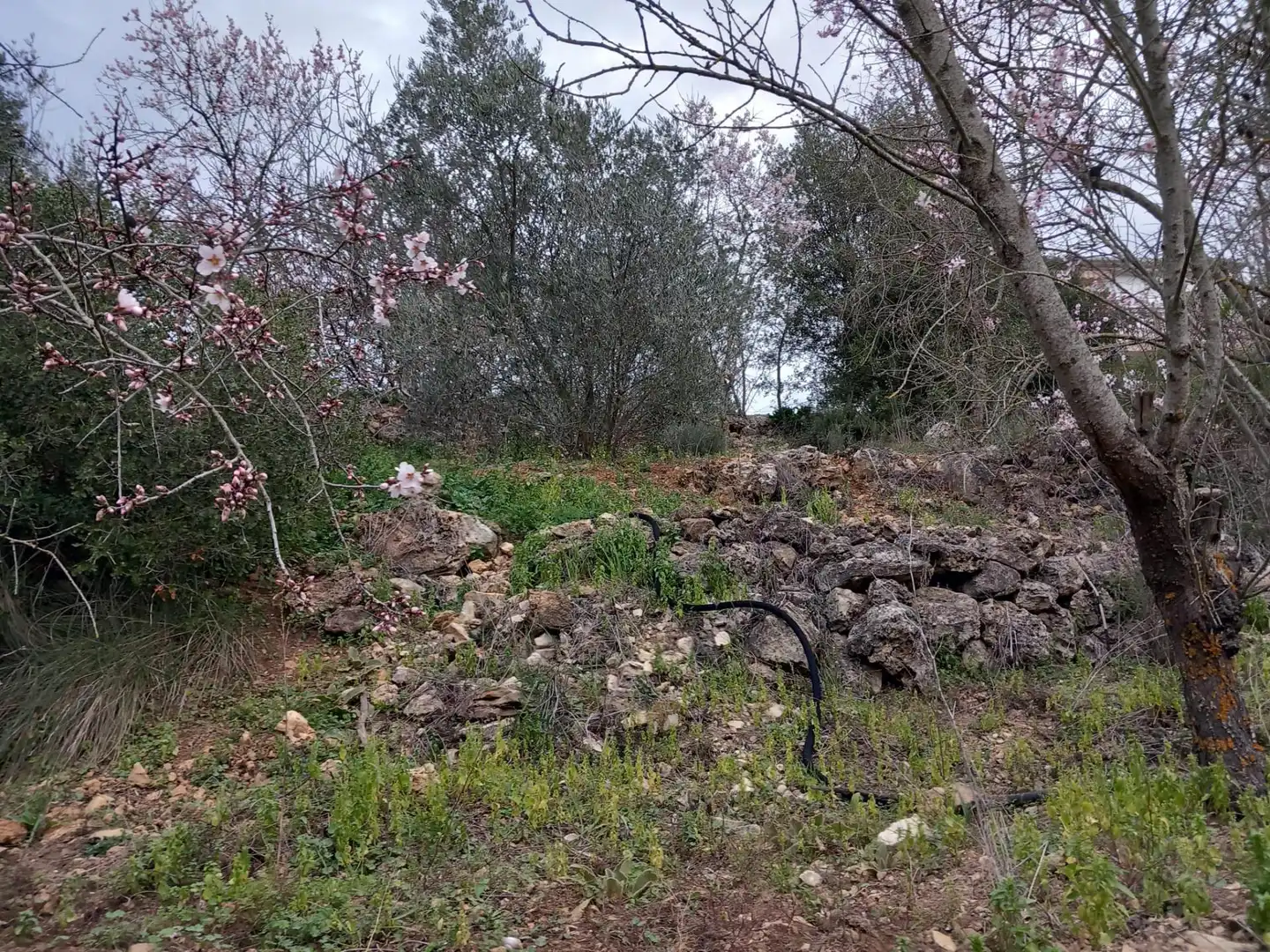 Residential land for sale in Torrelles de Foix, imagen 13