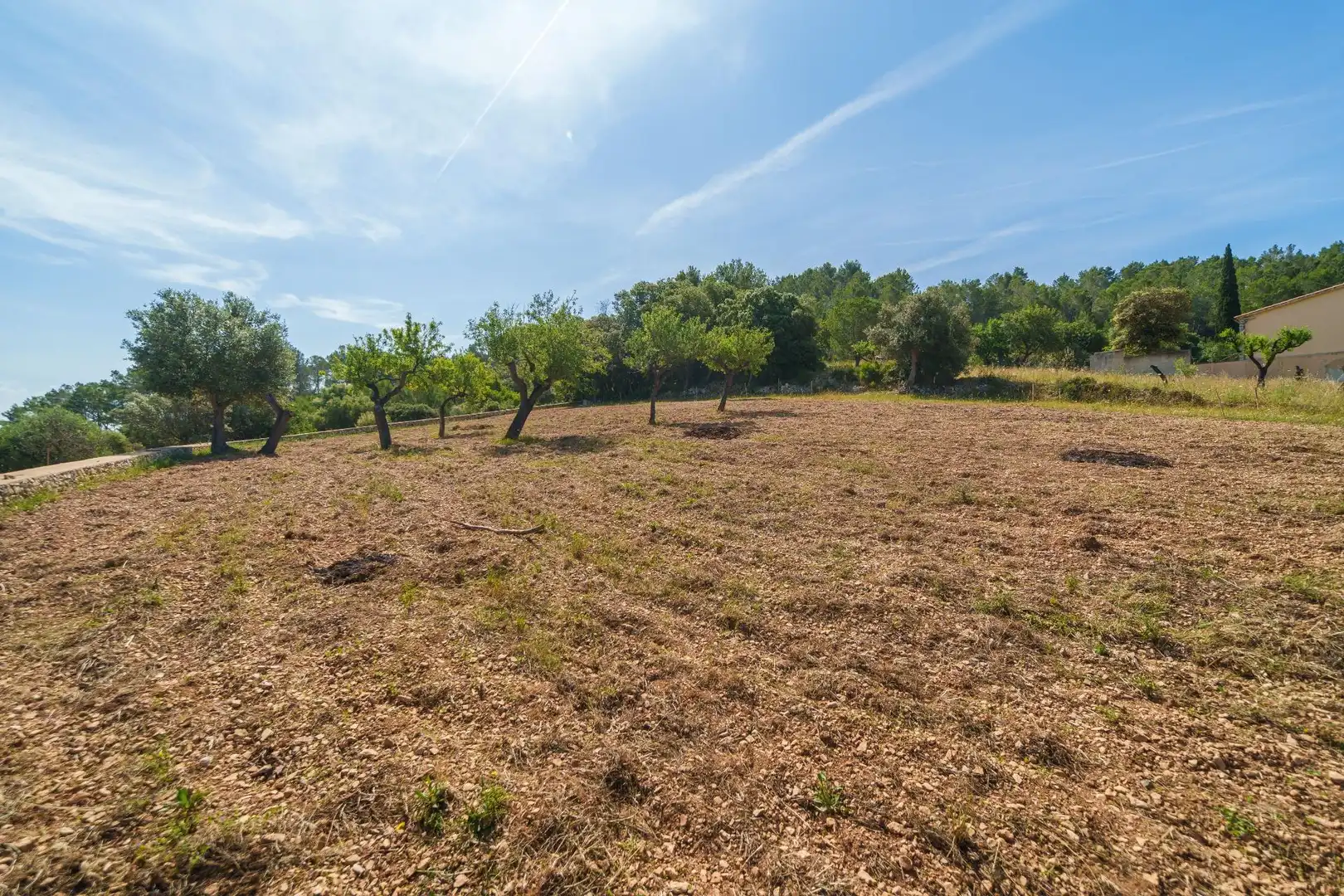 Finca rústica en venta en Selva con Jardín privado, Terraza y Trastero