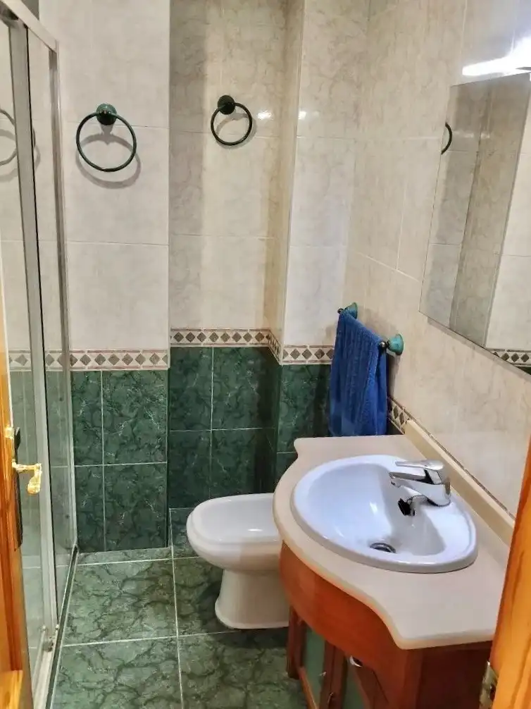 Bany de Pis en venda en Algemesí amb Aire condicionat i Terrassa
