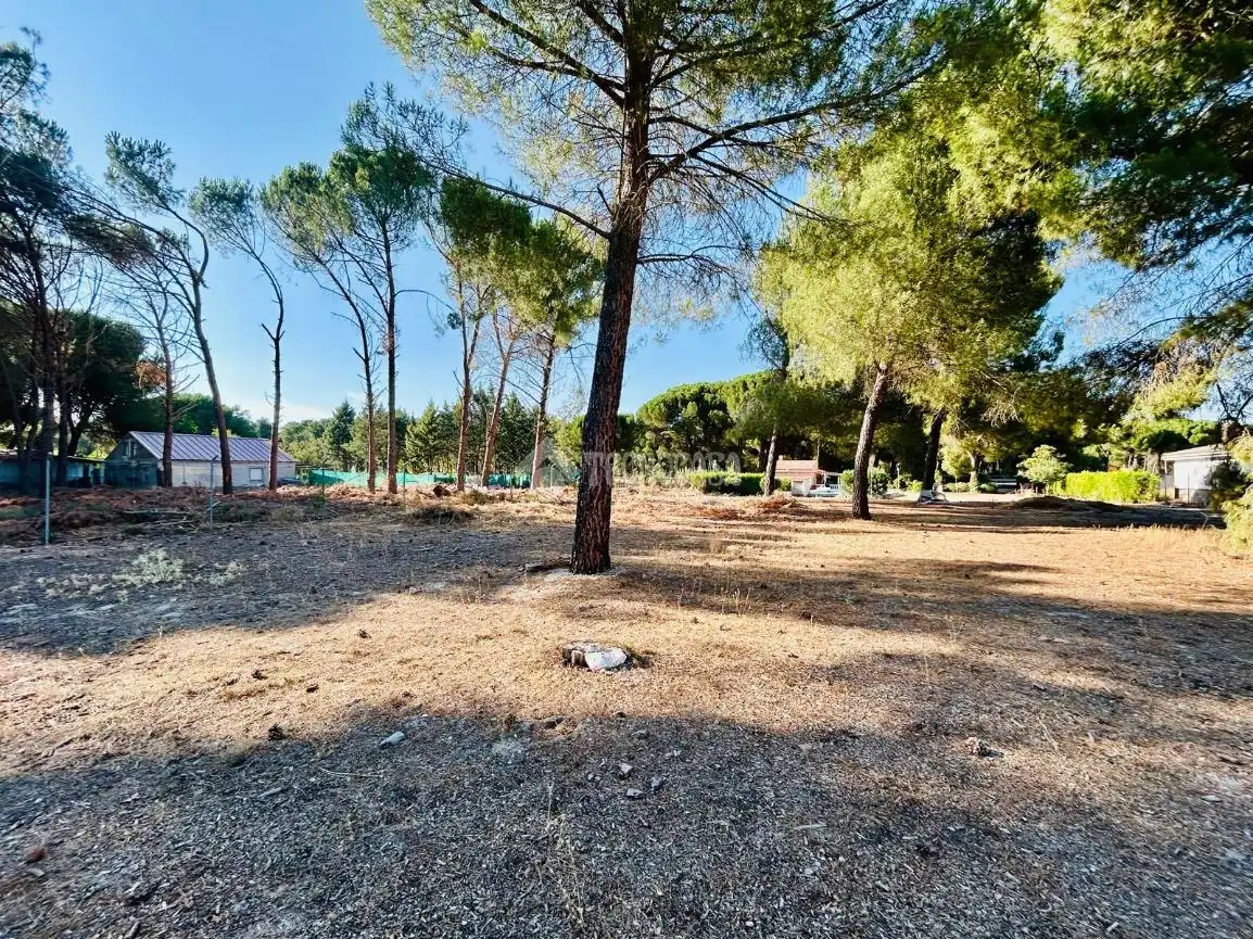 Casa o chalet en venta en Traspinedo