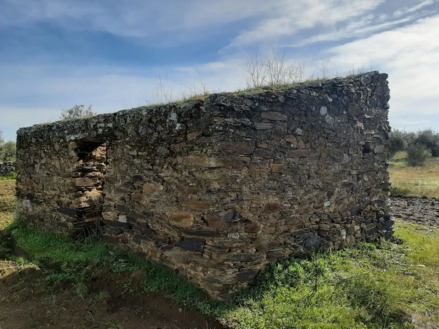 Außenansicht von Grundstücke zum Verkauf in Botija