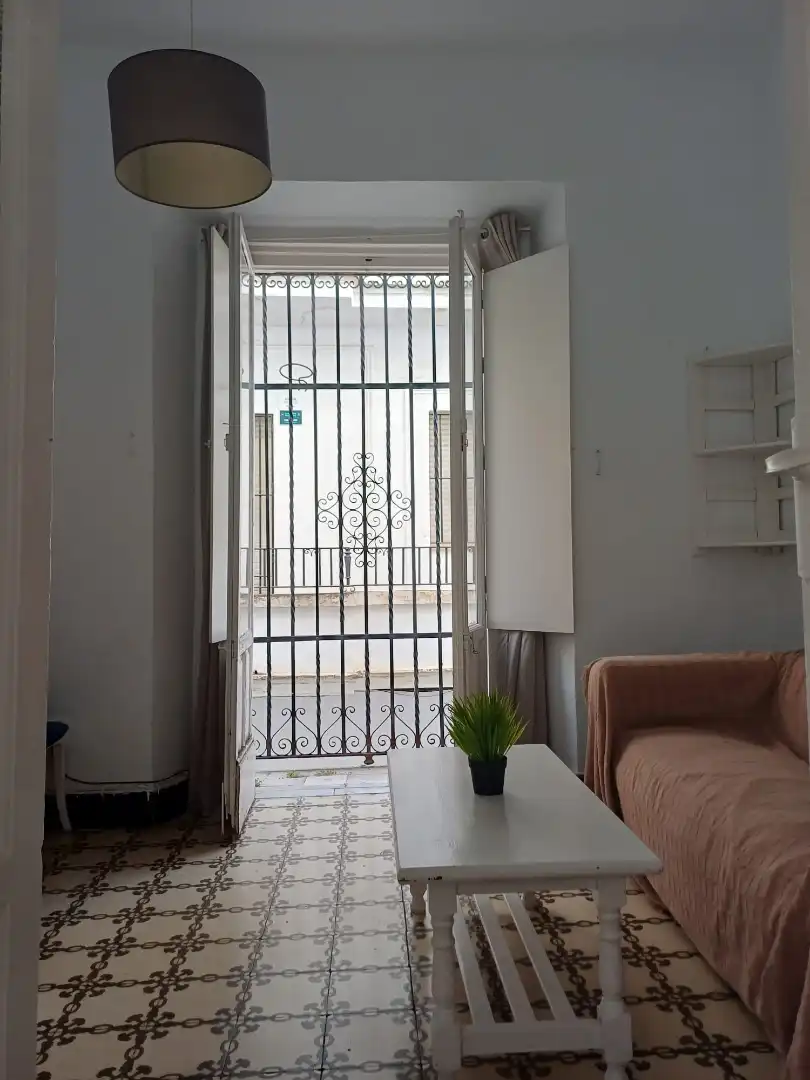 Apartments for rent in Calle Cristóbal Morales, Arenal - Museo