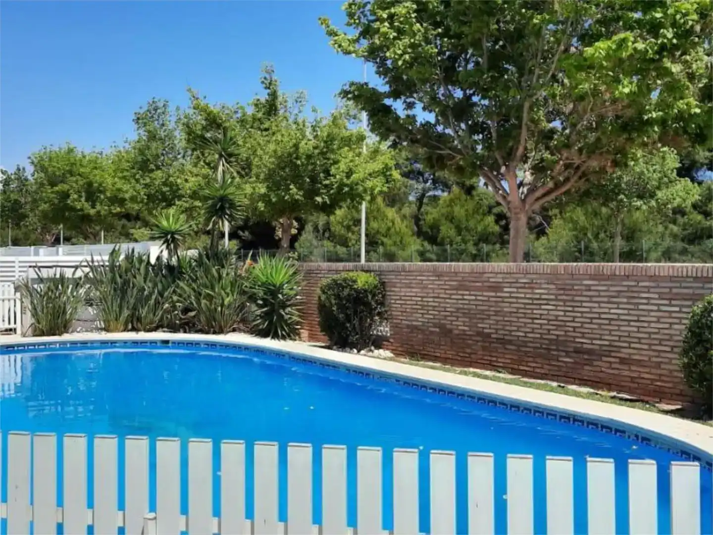 Piscina de Casa o xalet de lloguer en Castellón de la Plana / Castelló de la Plana amb Aire condicionat, Jardí privat i Parquet