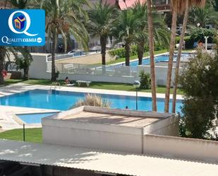 Swimming pool of Apartment for sale in Alicante / Alacant