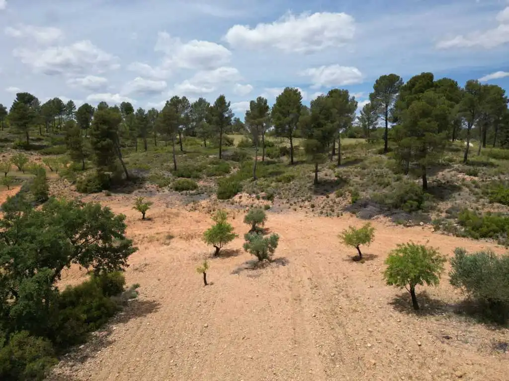 Residential for sale in Vallejo De La Tia Casta, Mira